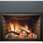 Abbot gas fireplace with logs